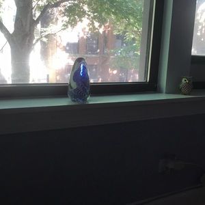 Meet your Posher, Carlos